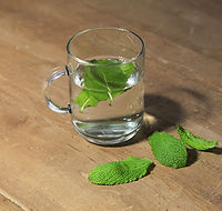 mint-tea-.jpg