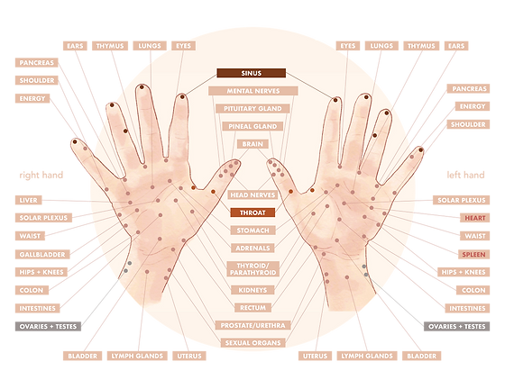 hands_palms_web_1-1.png