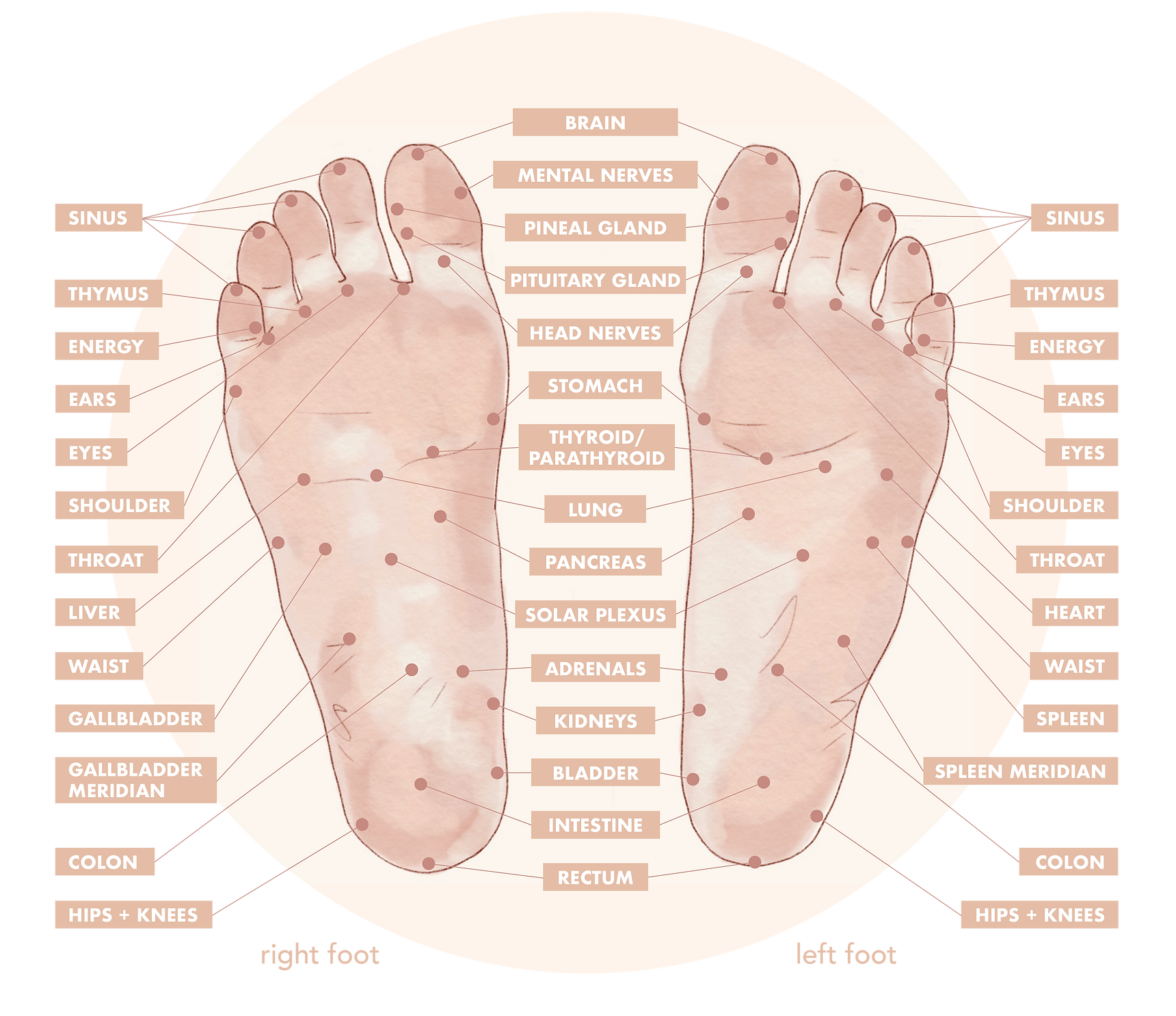 feet_palms_4.png