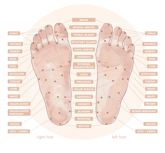 feet_palms_4.png